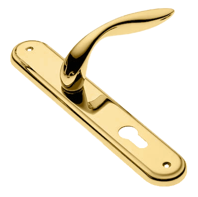 Ручка дверная на планке LEON PL OTL, цвет золото, латунь фото купить в Липецке