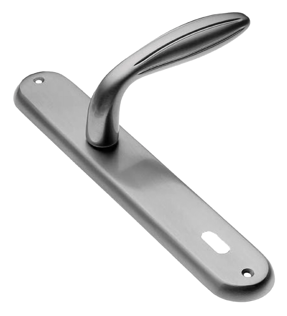 Ручка дверная на планке BUD PL CSA, цвет матовый хром, латунь фото купить в Липецке