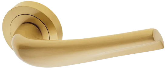 RAFT R2 OSA, ручка дверная, цвет - матовое золото фото купить Липецк