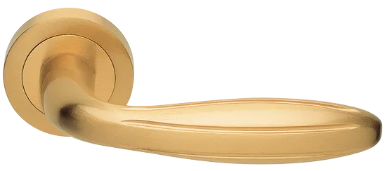 BUD R2 OSA, ручка дверная, цвет - матовое золото фото купить Липецк