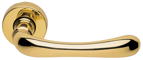 RING R3-E OTL, ручка дверная, цвет - золото фото купить Липецк