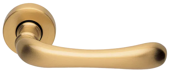 RING R3-E OSA, ручка дверная, цвет - матовое золото фото купить Липецк