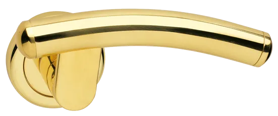 LUNA R4 OTL, ручка дверная, цвет - золото фото купить Липецк