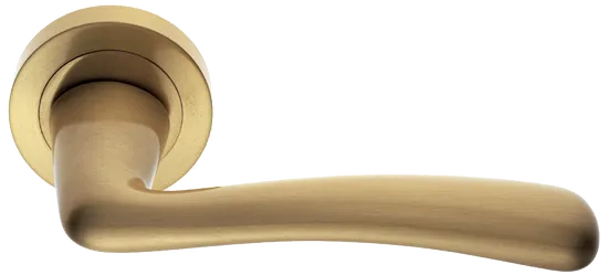 COCKATOO R2 OSA, ручка дверная, цвет - матовое золото фото купить Липецк