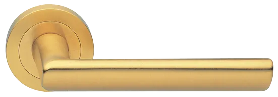 STELLA R2 OSA, ручка дверная, цвет - матовое золото фото купить Липецк
