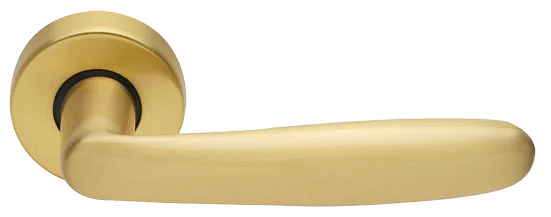 IMOLA R3-E OSA, ручка дверная, цвет - матовое золото фото купить Липецк