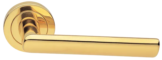 STELLA R2 OTL, ручка дверная, цвет - золото фото купить Липецк