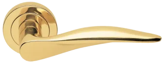 DALI R2 OTL, ручка дверная, цвет -  золото